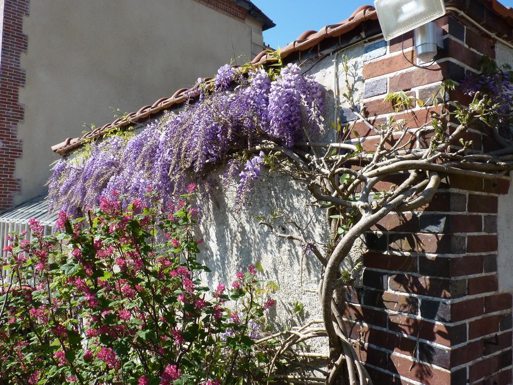 Le Clos Saint Nicolas Chateau-Renard Exterior photo